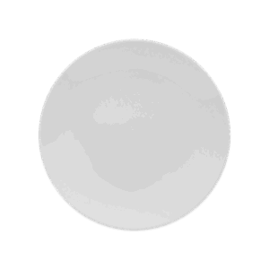 Classic White Coupe Dinner Plate